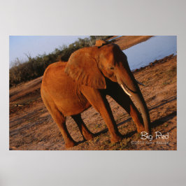 Poster Vermelho Grande