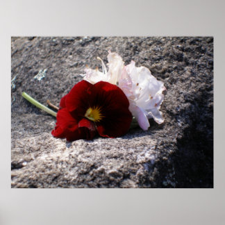 Pôster Vermelho-n-branco