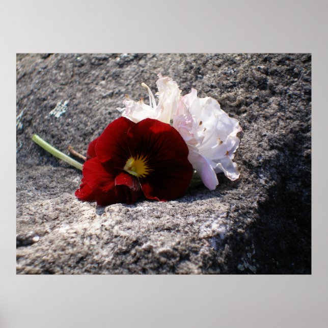 Pôster Vermelho-n-branco (Frente)