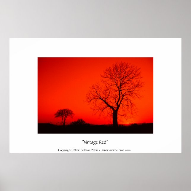 Poster Vermelho Vintage (Frente)