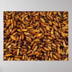 Pôster Vermes de Seda Secos... Comida da Rua Tailandesa