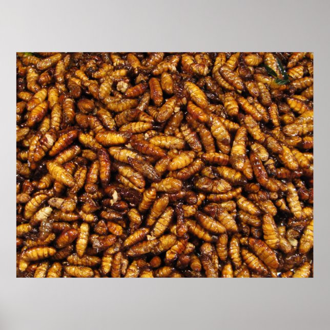 Pôster Vermes de Seda Secos... Comida da Rua Tailandesa (Frente)