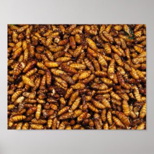 Poster Vermes de Seda Secos... Comida da Rua Tailandesa