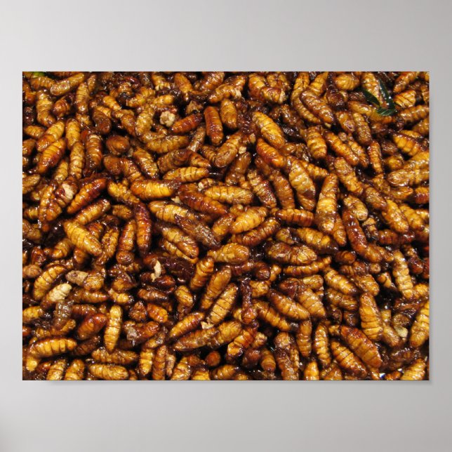 Poster Vermes de Seda Secos... Comida da Rua Tailandesa (Frente)