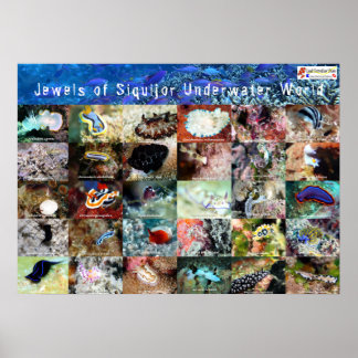 Poster Versão inglesa: Jewels of under Water Siquijor