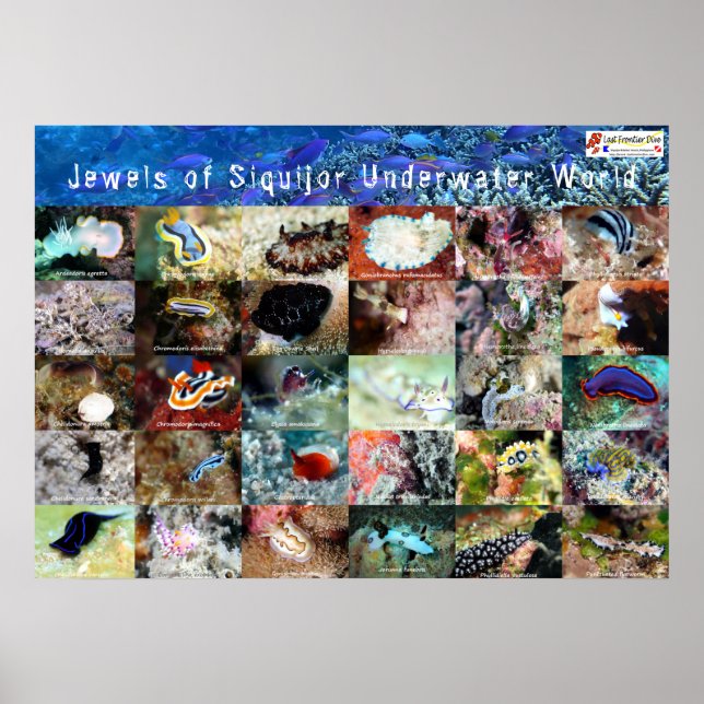 Poster Versão inglesa: Jewels of under Water Siquijor (Frente)