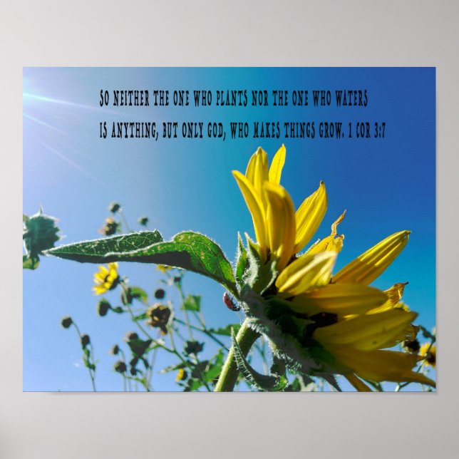 poster verso bíblia, as flores crescem com Deus. (Frente)