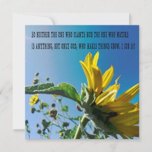 poster verso bíblia, as flores crescem com Deus.