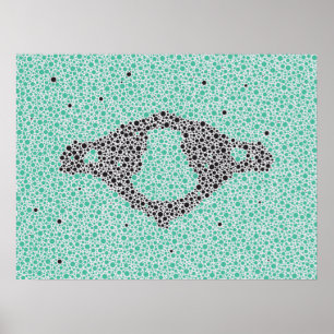 Pôster Vertebrae Cervical Trabalho de arte da Anatomia Ch