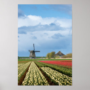 Poster vertical para moinhos de vento e tulipas