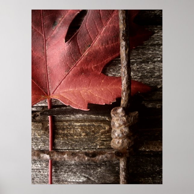 Poster vestido e curado (Frente)