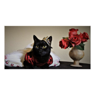 Pôster Vestido para a Bola