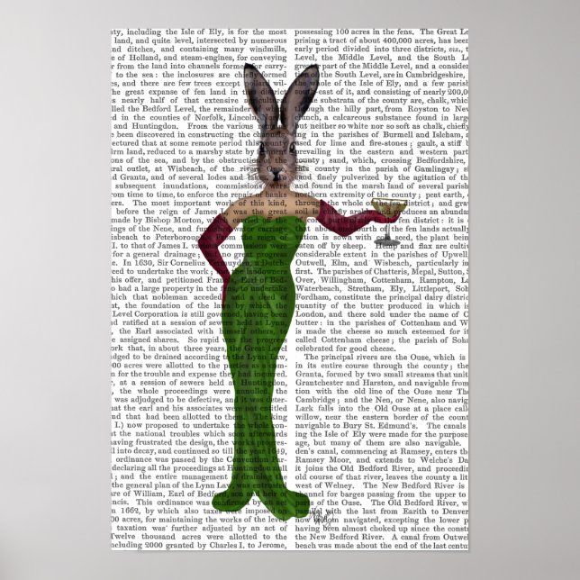 Poster Vestido Verde Rabbit (Frente)