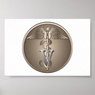 Poster Veterinarian Caduceus