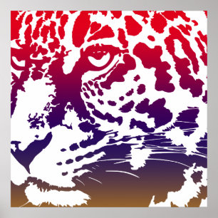 Pôster Vetor abstrato - leopardo