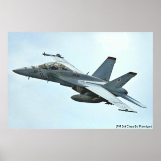 PÔSTER VFA-102
