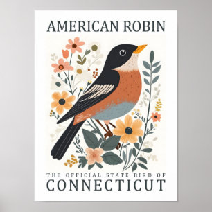 Poster Viagem Americano Robin Bird, do Connecticut USA