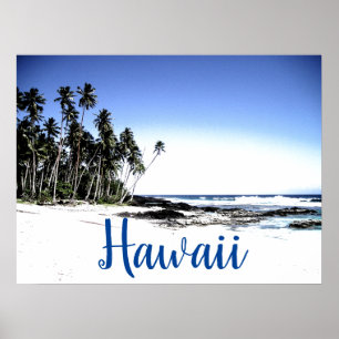 Poster Viagem do Havaí