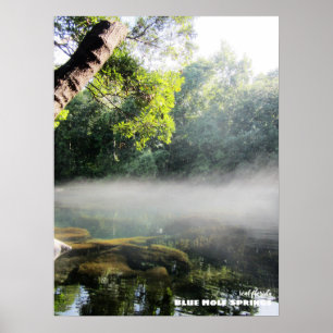 Poster Viagem Florida - Blue Hole Primavera Foggy Morni