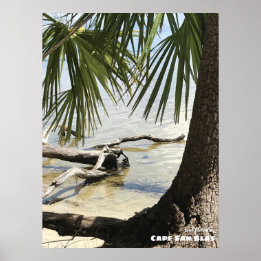 Poster Viagem | Flórida - Cabo San Blas Driftwood