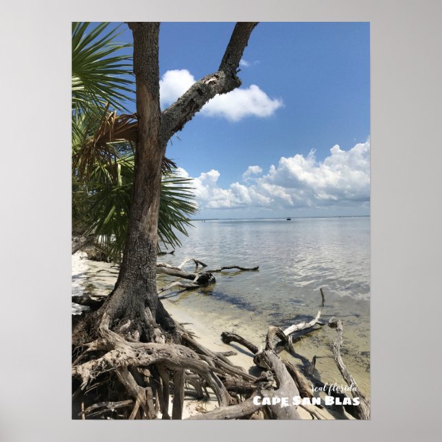 Poster Viagem | Florida - Cape San Blas Beach (Frente)