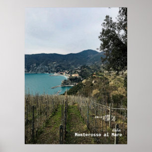 Poster Viagem   Itália - Monterosso Winter Vineyard