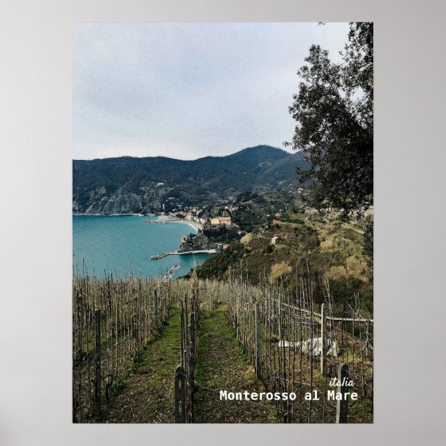 Poster Viagem | Itália - Monterosso Winter Vineyard (Frente)