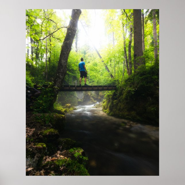 Poster Viagem pela floresta mágica (Frente)