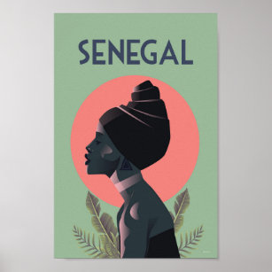 Almofada Decoração Grande Senegal Africa Bandeira Flag