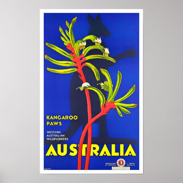 Poster Viagens vintage de Kangaroo (Frente)