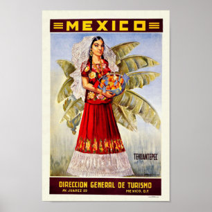 Pôster Viagens vintage de México