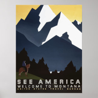 Poster Viagens vintage - Estados Unidos