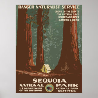 Poster Viagens vintage - Estados Unidos