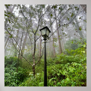 Poster Víberes portugueses