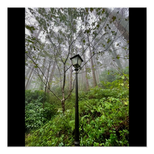 Pôster Víberes portugueses (Frente)