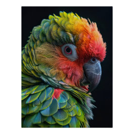 Pôster Vibrant Exotic Parrot Color Portrait