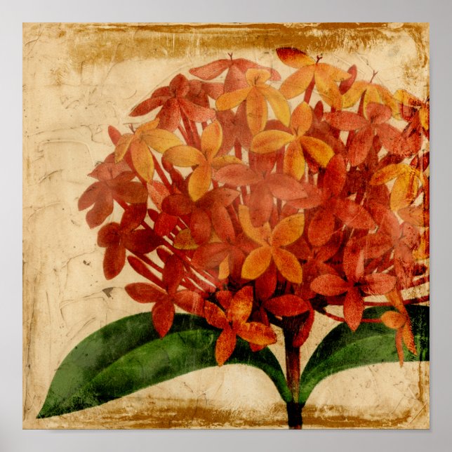 Pôster Vibrant Floral III (Frente)