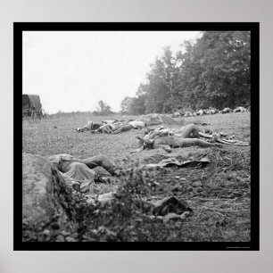 Poster Víctimas durante a batalha de Gettysburg 1863