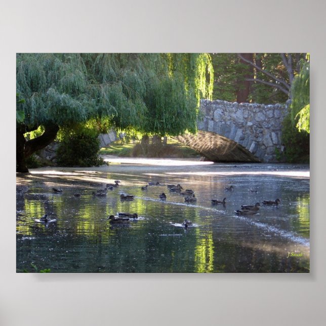 Pôster Victoria, B.C. (Frente)