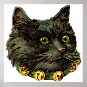Poster Victorian black cat with bell collar