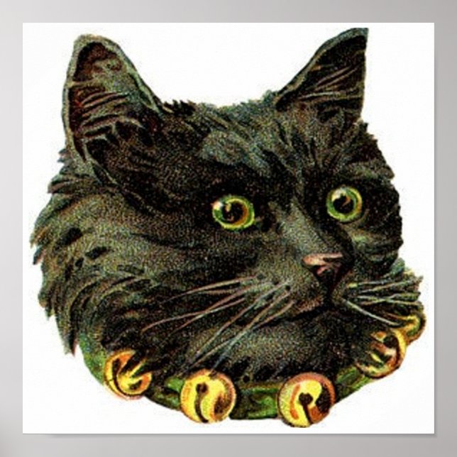 Poster Victorian black cat with bell collar (Frente)