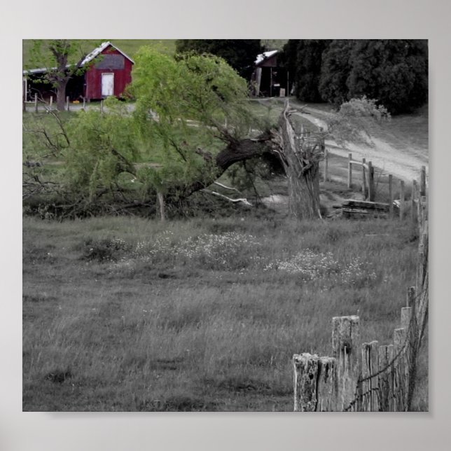 Pôster Vida após desastre (Frente)