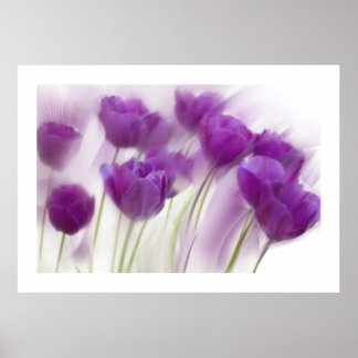 Pôster Vida contínua na Canvas