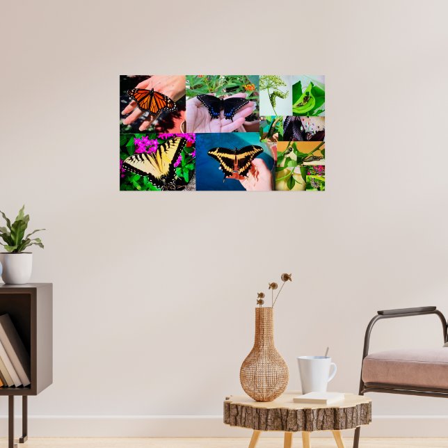 Poster Vida da Borboleta (Sala de Estar 3)