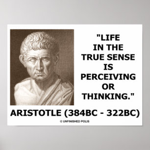 Pôster Vida de Aristotle no sentido verdadeiro que