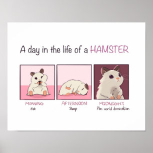 Poster Vida de Hamster