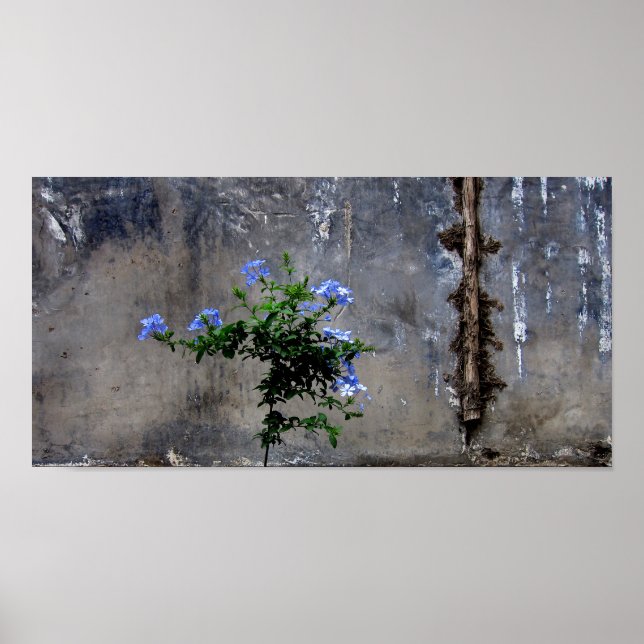 Poster Vida e Morte (Frente)