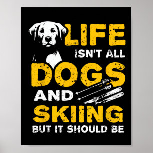 Poster Vida engraçada não é só cachorros e esqui