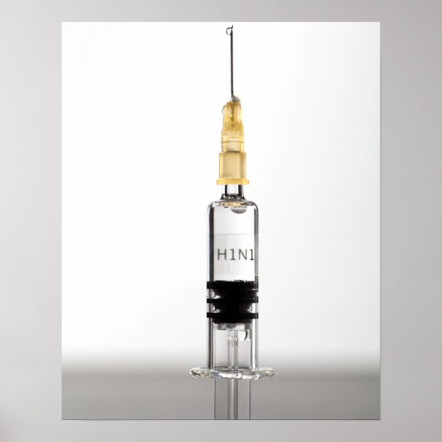 Poster vida estática, fundo branco (Frente)