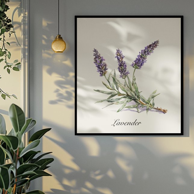 Poster Vida Herbal: Lavanda, personalizável (Criador carregado)